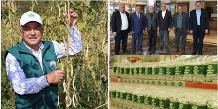 Akkuş Şeker Fasulyesine Dev Destek